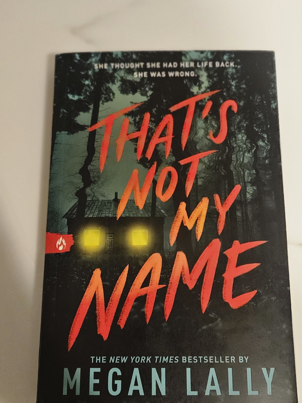 "That's Not My Name" - Thriller Megan Lally